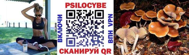 Псилоцибиновые грибы Cubensis  купить наркоту  ОМГ ОМГ tor  Гудермес 